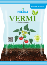 Vermi